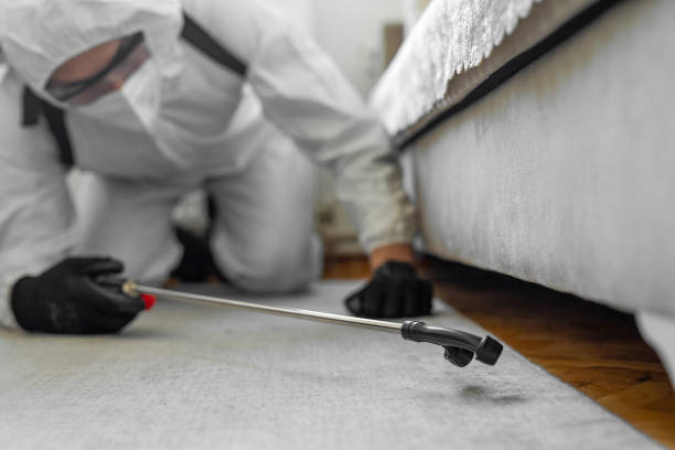 Professional Termite Control technician working in Verona, VA