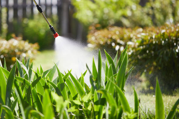 24/7 Emergency Termite Control experts in Verona, VA