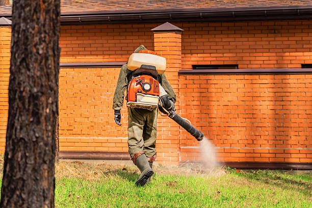 Top rated local Termite Control specialists in Verona, VA